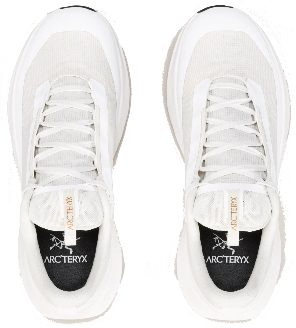 Arcteryx Norvan Ld 4 Gtx